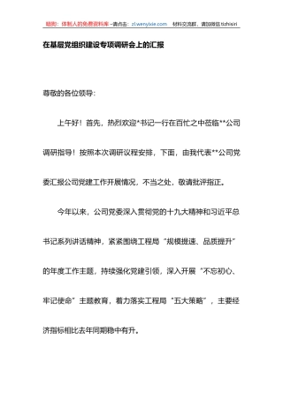 在基层党组织建设专项调研会上的汇报