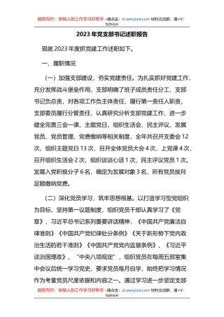 2023年党支部书记述职报告