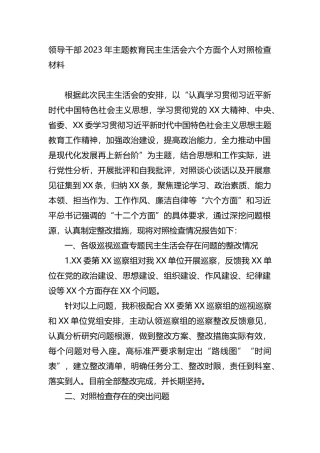 领导干部2023年XX教育专题民主生活会六个方面个人对照检查材料