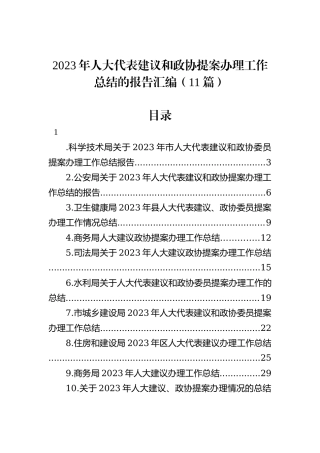 2023年人大代表建议和政协提案办理工作总结的报告汇编（11篇）