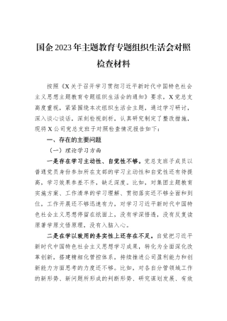 国企2023年主题教育专题组织生活会对照检查材料