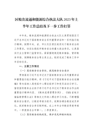 区粮食流通和能源综合执法大队2023年上半年工作总结及下一步工作打算