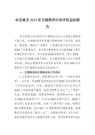 市直机关2023年主题教育自查评估总结报告
