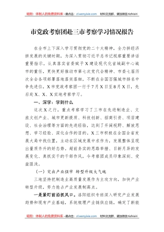 市党政考察团赴三市考察学习情况报告