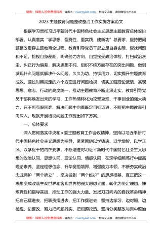 2023XX教育专题问题整改整治工作实施方案范文