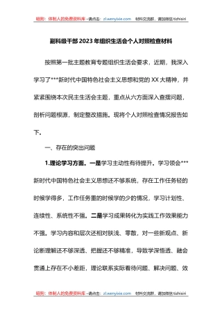 副科级干部2023年组织生活会个人对照检查材料