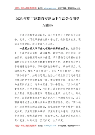 2023年度主题教育专题民主生活会会前学习感悟