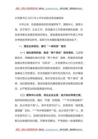 乡党委书记2023年上半年述职述责述廉报告
