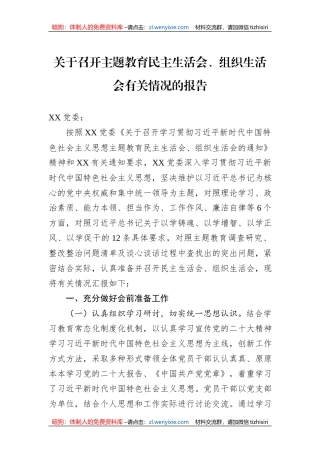 关于召开主题教育民主生活会、组织生活会有关情况的报告