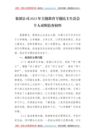 集团公司2023年主题教育专题民主生活会个人对照检查材料
