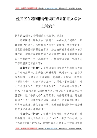 经开区在巡回指导组调研成果汇报分享会上的发言