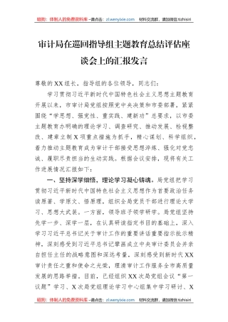 审计局在巡回指导组主题教育总结评估座谈会上的汇报发言