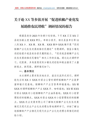 关于赴XX等乡镇开展“促进槟榔产业化发展助推农民增收”调研情况的报告