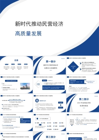 新时代推动民营经济高质量发展（PPT）