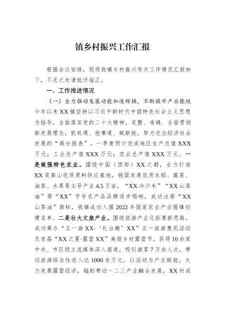 镇乡村振兴工作汇报