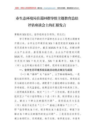 市生态环境局在巡回指导组主题教育总结评估座谈会上的汇报发言