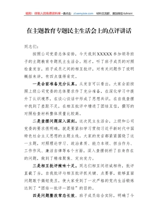 在主题教育专题民主生活会上的点评讲话