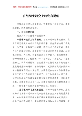 在组织生活会上的发言提纲