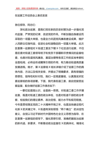 在巡察工作动员会上表态发言