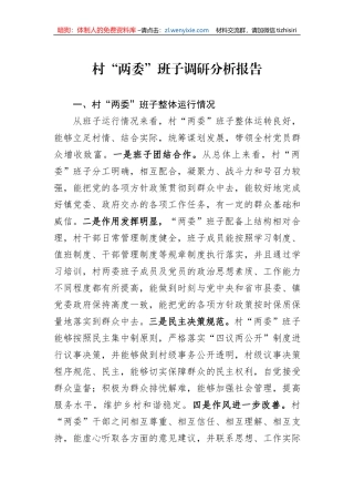村“两委”班子调研分析报告