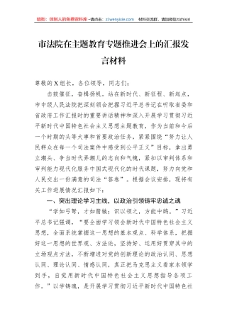市法院在主题教育专题推进会上的汇报发言材料