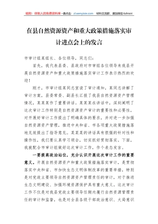 在县自然资源资产和重大政策措施落实审计进点会上的发言