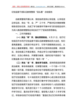 纪检监察干部队伍教育整顿“回头看”总结报告