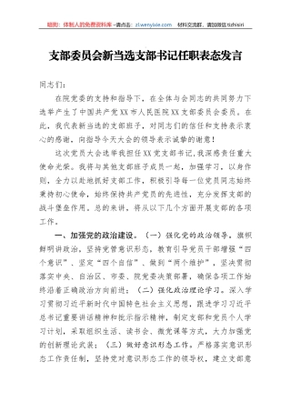 医院支部委员会新当选支部书记任职表态发言