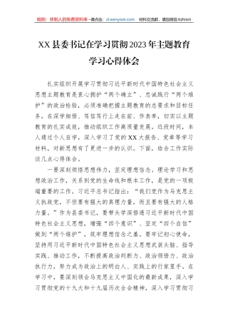 XX县委书记在学习贯彻2023年主题教育学习心得体会