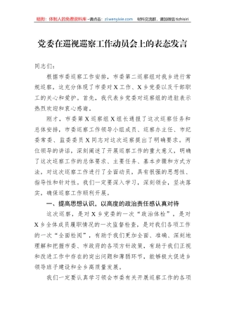 党委在巡视巡察工作动员会上的表态发言