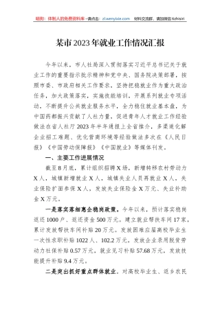 某市2023年就业工作情况汇报