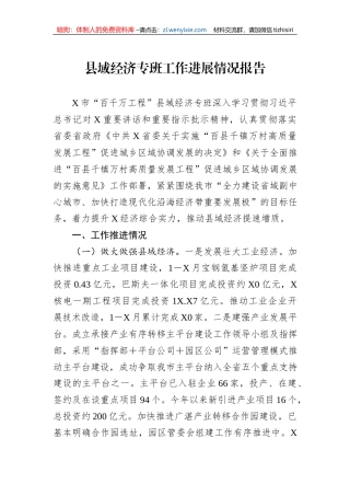 县域经济专班工作进展情况报告