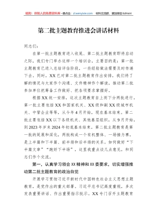 第二批主题教育推进会讲话材料