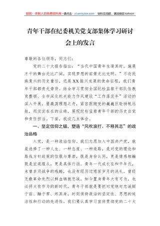 青年干部在纪委机关党支部集体学习研讨会上的发言