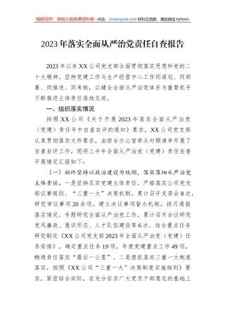 2023年落实全面从严治党责任自查报告