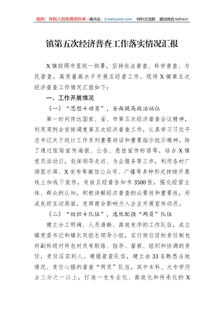 镇第五次经济普查工作落实情况汇报