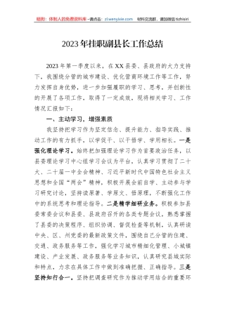 2023年挂职副县长工作总结