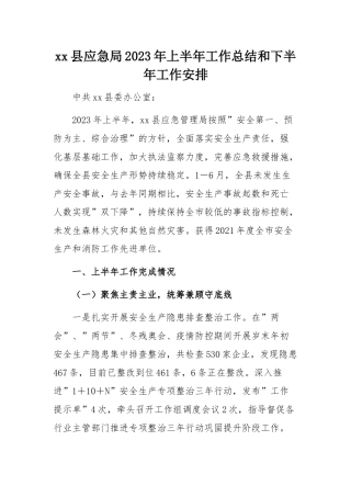 2023年上半年工作总结：应急局2023年上半年工作总结和下半年工作安排
