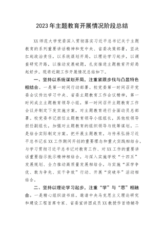 2023年主题教育开展情况阶段总结(1)