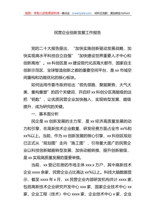 民营企业创新发展工作报告
