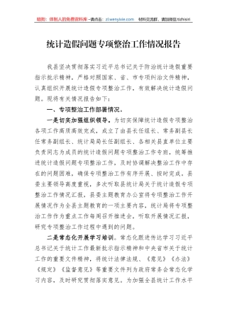 统计造假问题专项整治工作情况报告