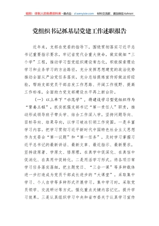 2023年党组织书记抓基层党建工作述职报告