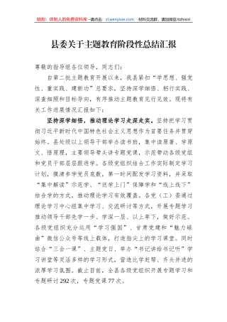 县委关于主题教育阶段性总结汇报