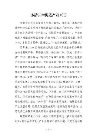 【政协】2023全体会议产业发展大会发言报告 （调研报告）