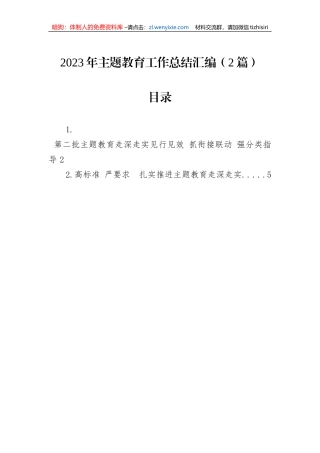 2023年主题教育工作总结汇编（2篇）