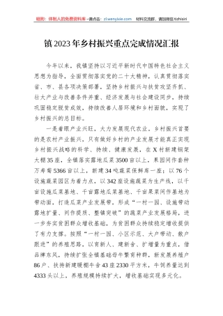 镇2023年乡村振兴重点完成情况汇报