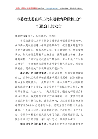 市委政法委在第二批主题教育阶段性工作汇报会上的发言