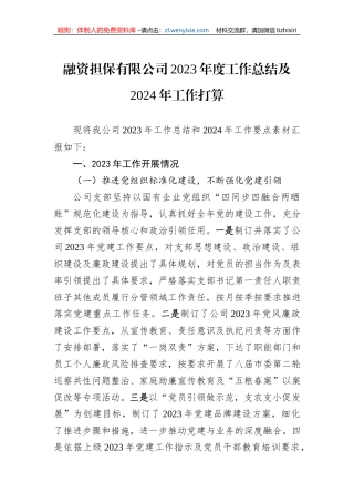 融资担保有限公司2023年度工作总结及2024年工作打算