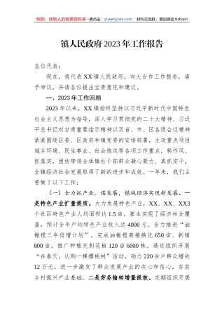 镇人民政府2023年工作报告