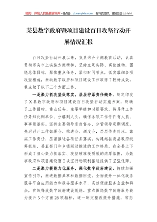 某县数字政府暨项目建设百日攻坚行动开展情况汇报